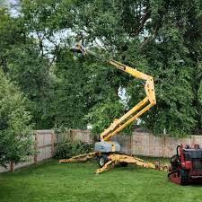 Best Tree and Shrub Care  in Dixmoor, IL